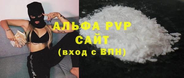стаф Шадринск