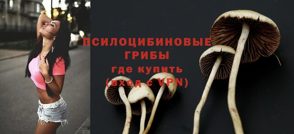 mdma Ельня
