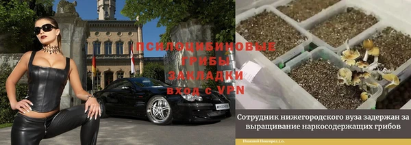 PSILOCYBIN Елизово