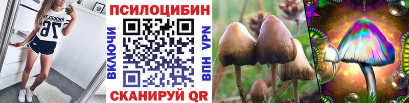 Псилоцибиновые грибы Cubensis  Высоцк 