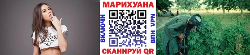 Конопля сатива  где найти   Высоцк 